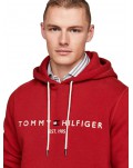 Felpa con cappuccio e logo Tommy Hilfiger dark magma mw0mw11599xnn 