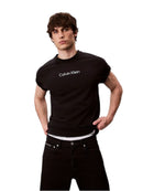 T-Shirt Uomo Calvin Klein Standard Logo 30s | Wellington Jeans