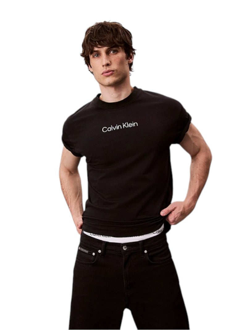 T-Shirt Uomo Calvin Klein Standard Logo 30s | Wellington Jeans