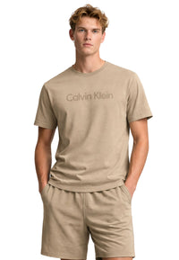 T-Shirt Uomo Calvin Klein Standard Logo 30s | Wellington Jeans