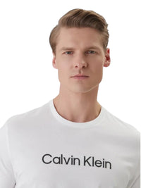 T-Shirt Uomo Calvin Klein Sportswear Logo Centrale | Wellington Jeans