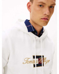 Tommy Hilfiger Felpa Icon Gold - Wellington Jeans