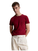 T-shirt Uomo Tommy Hilfiger Slim Fit Stretch | Wellington